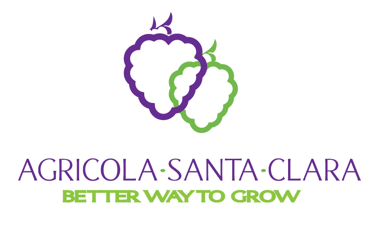 LogoStaClara